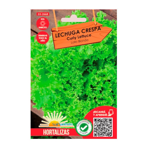 Producto1